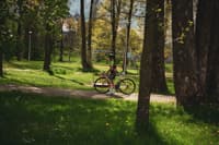Photo thumbnail